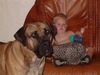 Boerboel Foto: aldo und seinen freund Kevin (ID 19666) Boerboel Hund