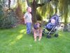 Boerboel Foto: Aldo und kevin und ted (ID 26172) Boerboel Hund