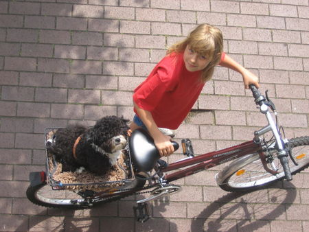 Bolonka Zwetna unsere Tochter Patricia mit Genero