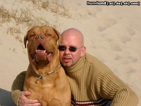 Bordeauxdogge Hunde Foto 5027 Bordeauxdogge Ein guter Freund fürs Leben!!!!!!