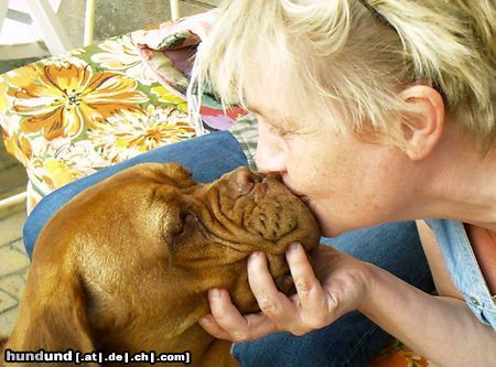 Bordeauxdogge Hunde Foto 5483 Bordeauxdogge es war Liebe auf den ersten Blick