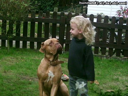 Bordeauxdogge Hunde Foto 15674 in höherer Auflösung ansehen Bordeauxdogge Zwei gute Freunde