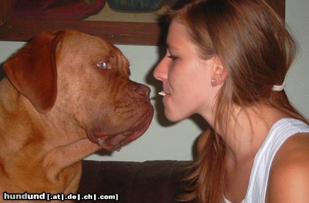 Bordeauxdogge Hunde Foto 18322 Bordeauxdogge Hm, lecker Schocki...