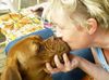 Bordeauxdogge Foto: es war Liebe auf den ersten Blick (ID 5483) Bordeauxdogge Hund