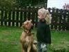 Bordeauxdogge Foto: Zwei gute Freunde (ID 15674) Bordeauxdogge Hund