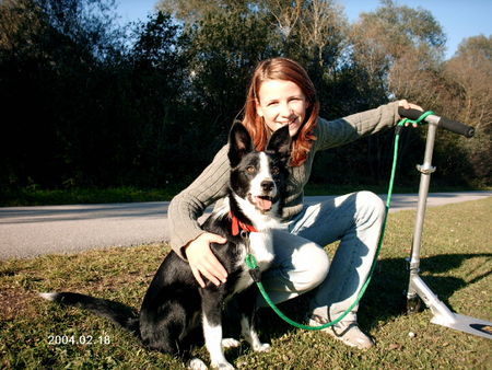 Border Collie Hunde Foto 30773 in höherer Auflösung ansehen Border Collie Verena & Leni....(Herbst 2005)
