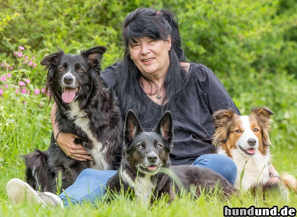 Border Collie Hunde Foto 47234 Border Collie Mein Rudel