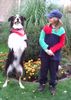 Border Collie Foto: Komische Figur (ID 35090) Border Collie Hund