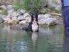 Border Collie Foto: Kayla (ID 33270) Border Collie Hund