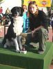 Border Collie Foto: akira beim MH-Wettbewerb im Tierheim (ID 20829) Border Collie Hund