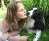 Border Collie Foto: Harmonie (ID 32404) Border Collie Hund