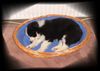 Border Collie Foto: Laika...8 Wochen alt (ID 38335) Border Collie Hund
