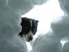Border Collie Foto: aus der Sicht des Lawinenopfers (ID 3105) Border Collie Hund