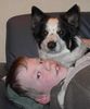 Border Collie Foto: Zwei dicke Freunde - Ginger und mein Sohn Robin (ID 4106) Border Collie Hund