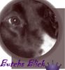 Border Collie Foto: Butchs Augenblicke (ID 15205) Border Collie Hund