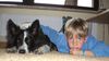 Border Collie Foto: mein bester freund (ID 39802) Border Collie Hund