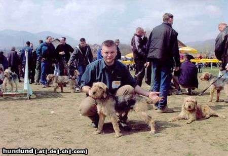 Bosnischer Rauhhaariger Laufhund