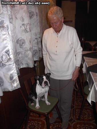 Boston Terrier Hunde Foto 19538 Boston Terrier Bully mit Frauerl bei der Generalversammlung