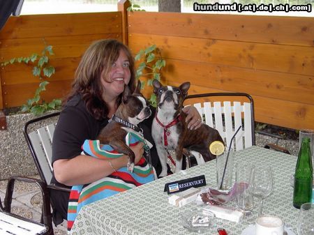 Boston Terrier Hunde Foto 4147 Boston Terrier Nicht nur der Tisch ist reserviert, sondern auch unsere Gaby und das, für Shirley u.Gipsy