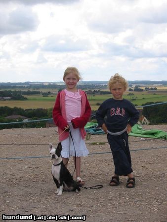 Boston Terrier Olga mit den Kindern in Schweden