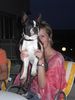 Boston Terrier Foto: IHA Oberwart - Bassty V1,CACA,Res.CACIB (ID 12993) Boston Terrier Hund