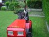 Boston Terrier Foto: Gleich gehts los mit dem Rasen mähen (ID 12309) Boston Terrier Hund