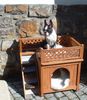Boston Terrier Foto: Mein erstes Sonnenbad, endlich!!!! (ID 19694) Boston Terrier Hund