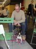 Boston Terrier Foto: IHA Graz - Snoopy (V1, JB) (ID 19424) Boston Terrier Hund