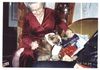 Boston Terrier Foto: Mein Frauerl und ich haben viele Geschenke bekommen (ID 18508) Boston Terrier Hund