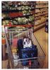 Boston Terrier Foto: ....so kalorienarm muss es nicht unbedingt sein! (ID 18505) Boston Terrier Hund