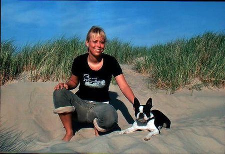 Boston Terrier Hunde Foto 27746 Boston Terrier Nancy Oranjelust vom hengstbachtal