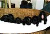 Bouvier des Flandres Foto: Buffelmeute (ID 4298) Bouvier des Flandres Hund