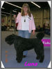 Bouvier des Flandres Foto: Bouviers vom Cantrikihof - Luna in Dortmund'07 (ID 40132) Bouvier des Flandres Hund