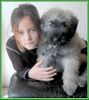 Bouvier des Flandres Foto: Ben Regan v. Bouvier Topline mit Ashley (ID 1819) Bouvier des Flandres Hund