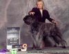 Bouvier des Flandres Foto: Canadian Champion DRAGON - BORGIA z Flandryjskiego Gniazda - FCI (ID 10801) Bouvier des Flandres Hund