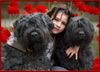 Bouvier des Flandres Foto: Regan mit Rhodos und Odet (ID 9298) Bouvier des Flandres Hund