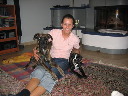 Boxer Hunde Foto 33595 in höherer Auflösung ansehen Boxer Coco und Tina