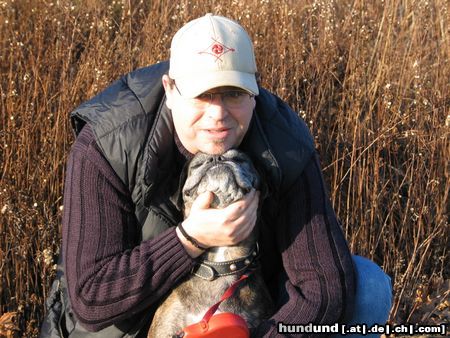 Boxer Hunde Foto 17812 Boxer Freunde fürs Leben!