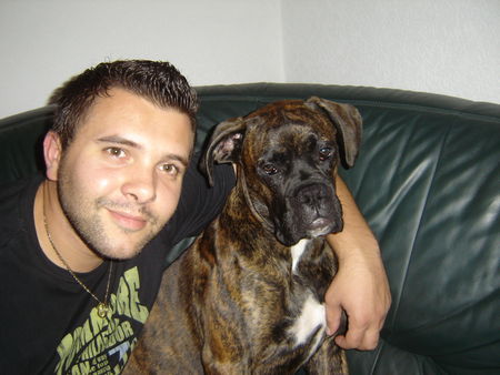 Boxer Hunde Foto 40717 Boxer