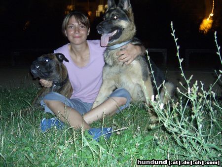 Boxer Hunde Foto 23889 in höherer Auflösung ansehen Boxer meine süßen
