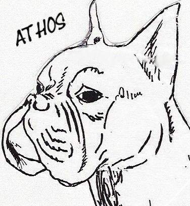 Boxer Hunde Foto 29075 in höherer Auflösung ansehen Boxer Zeichnung von Athos