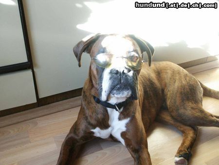 Boxer Viel Spaß beim schlechten bewerten!