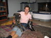 Boxer Foto: Coco und Tina (ID 33595) Boxer Hund