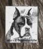 Boxer Foto: Inka v.d. Schwedenhöhe im Alter v. 12 Jahren (ID 33824) Boxer Hund