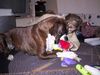 Boxer Foto: Blou (ID 15154) Boxer Hund