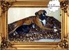 Boxer Hund