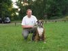 Boxer Hund
