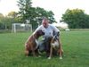 Boxer Hund