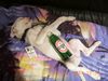 Boxer Hund