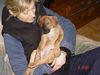 Boxer Foto: Bubba und Gina (ID 16613) Boxer Hund